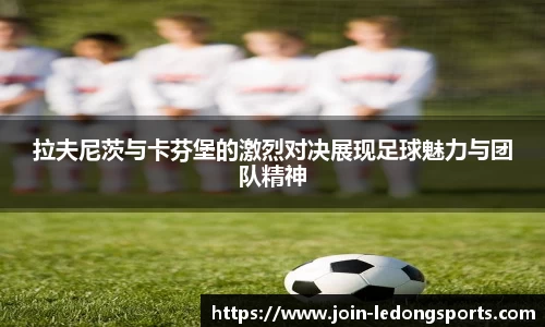 乐动体育官方网站
